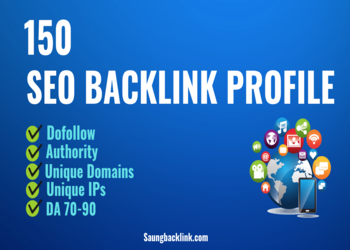 150 SEO Backlink Profile