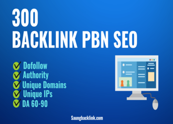300 Backlink PBN SEO