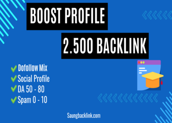 Boost 2.500 Backlink Profile