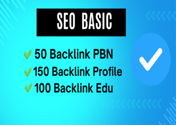 Paket SEO Basic