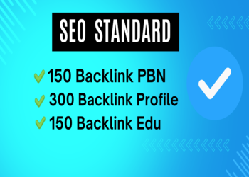 Paket SEO Standard