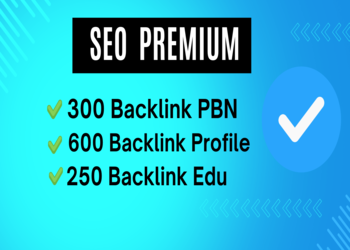 Paket SEO Premium